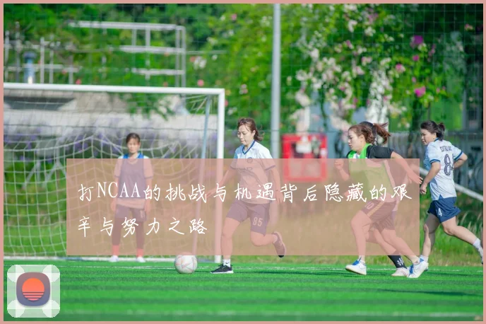 打NCAA的挑战与机遇背后隐藏的艰辛与努力之路