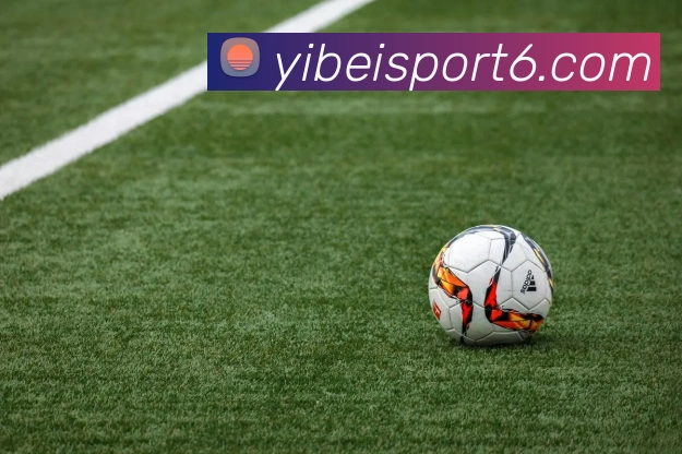 易倍体育APP 封面图